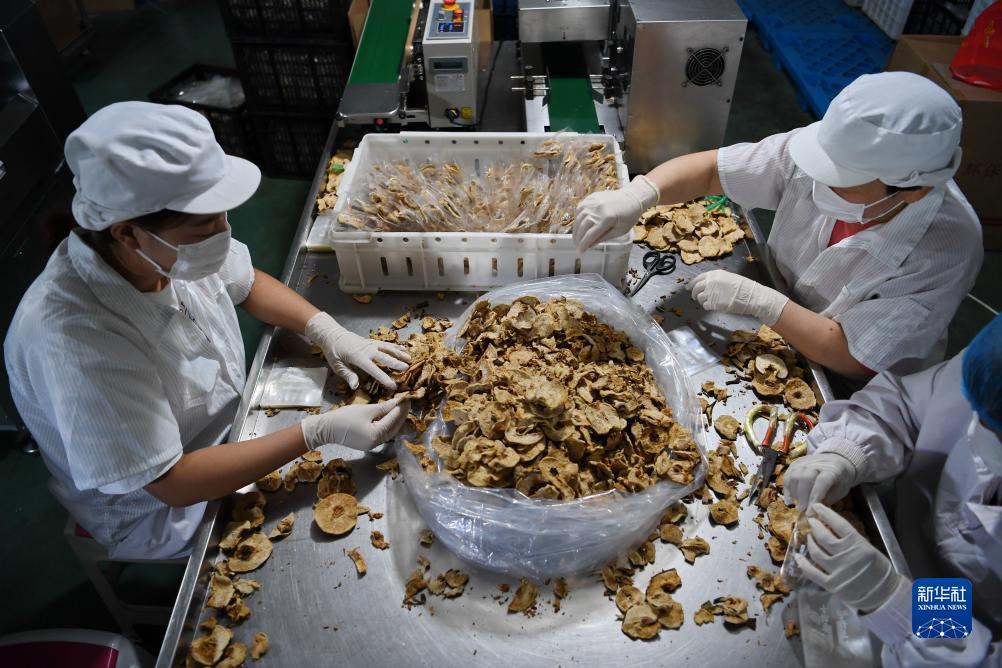 力港捕鱼来了